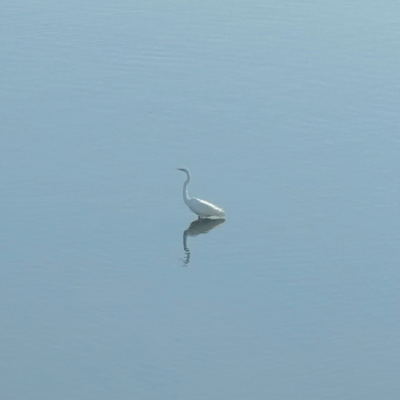 Granのジャケット写真