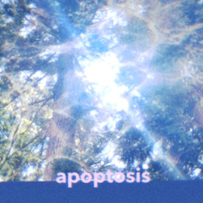 apoptosis Front Cover
