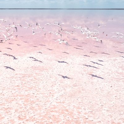 submergeのジャケット写真