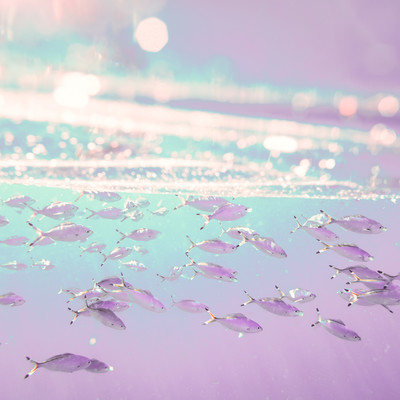 red fishのジャケット写真