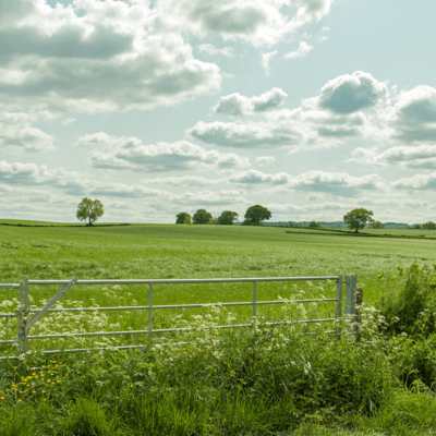 Sudden Light Front Cover