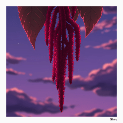 NO BODY Front Cover