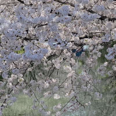 mysterious Front Cover