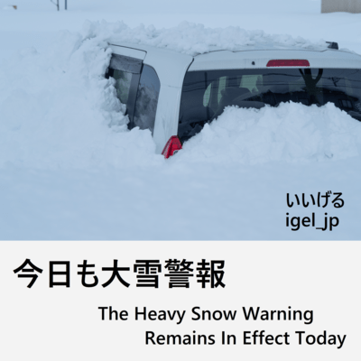 今日も大雪警報のジャケット写真