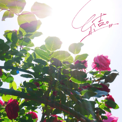 結。のジャケット写真