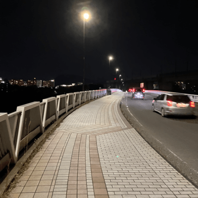 美しき汝のジャケット写真