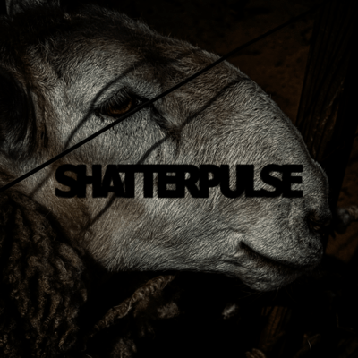 Bad Dreamのジャケット写真