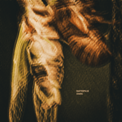 Starve Front Cover