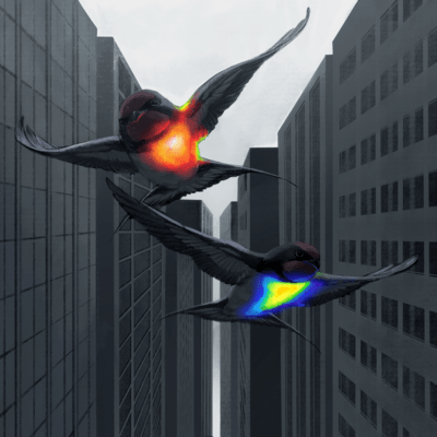 ニーチェのジャケット写真