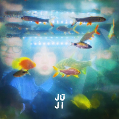Fish in a bowl Front Cover