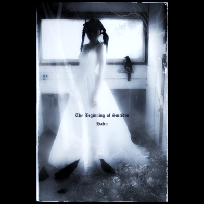 The Beginning of Suicides Front Cover