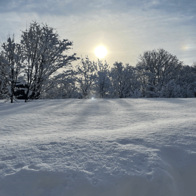 The First Snow Front Cover