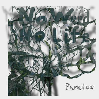 No weed No life Front Cover