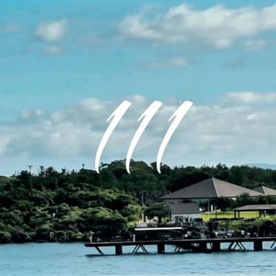 111のジャケット写真