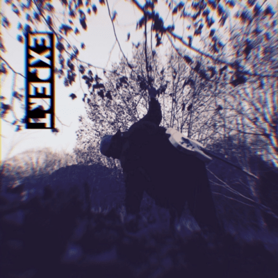 Expertのジャケット写真