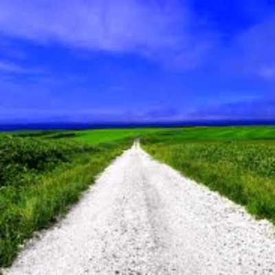 ホタテ道のジャケット写真