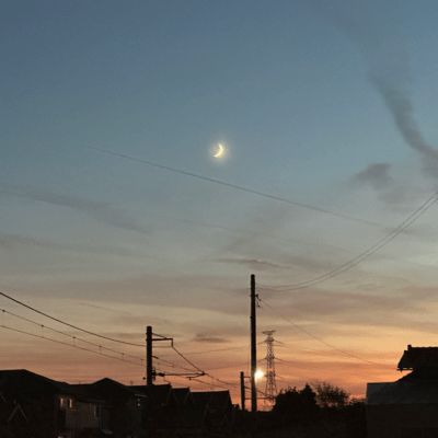 Gentle World Front Cover