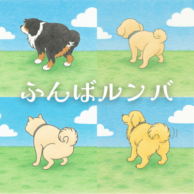 Funba Rumba - A Cheer Song for Dogs Front Cover