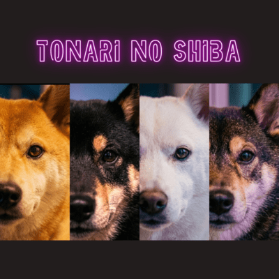 Tonari no Shibaのジャケット写真