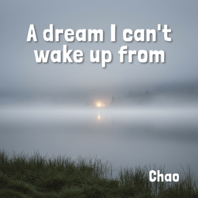 A dream I can't wake up from Front Cover