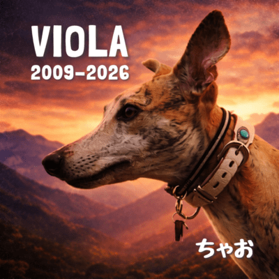 VIOLA (2009-2026) Front Cover