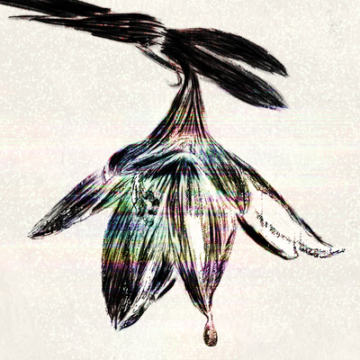 ochikobore Front Cover