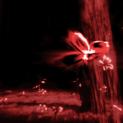 Waterfallのジャケット写真