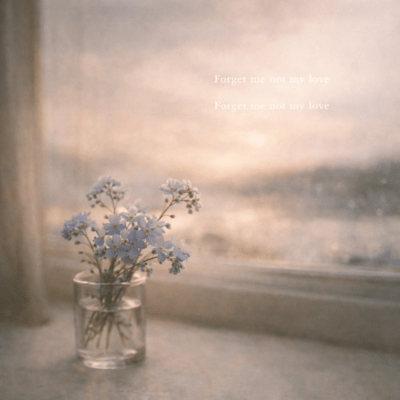 Forget me notのジャケット写真