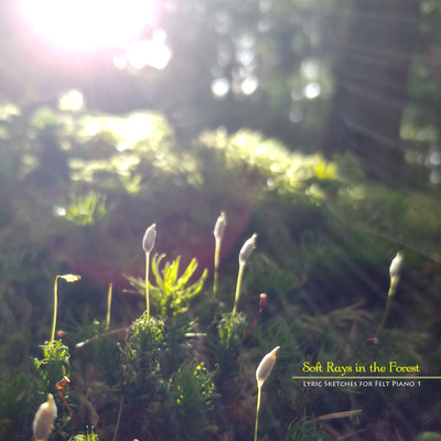Soft Rays in the Forest (Lyric Sketches for Felt Piano 1) Front Cover