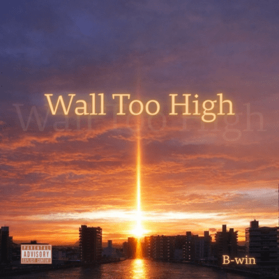 Wall Too High Front Cover