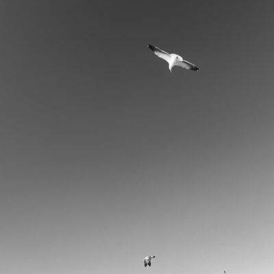 How's it going?のジャケット写真