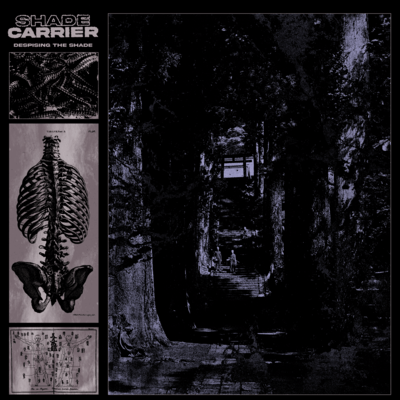 Despising The Shade Front Cover