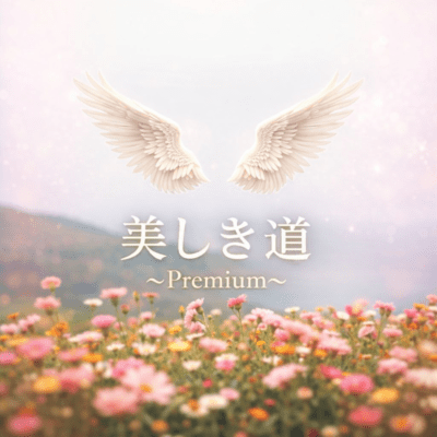 美しき道~Premium~のジャケット写真