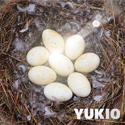 YUKIOのジャケット写真