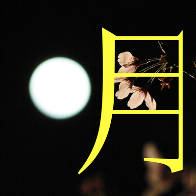 月のジャケット写真