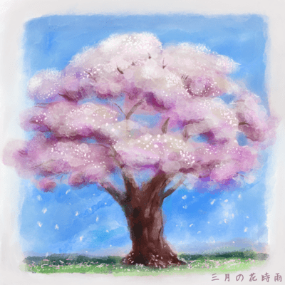 Blossom Drizzle in March Front Cover