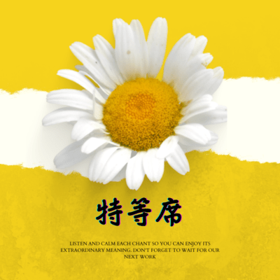 special seat Front Cover