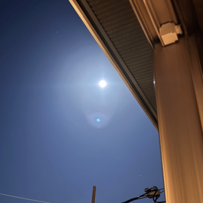 No.6のジャケット写真