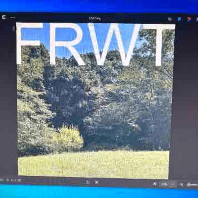 Field Rec Walk Throughのジャケット写真