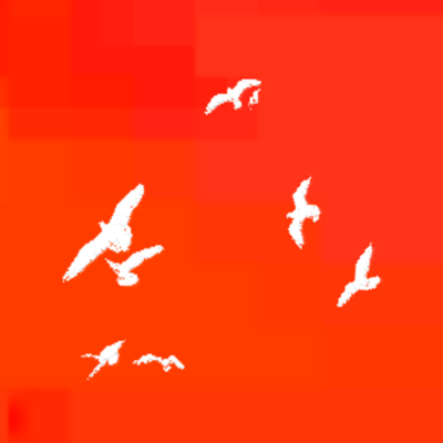 Starry Birds Front Cover