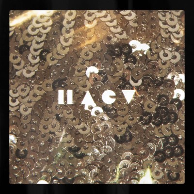 flip sequins Front Cover