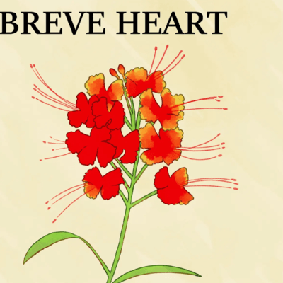 BRAVE HEART Front Cover