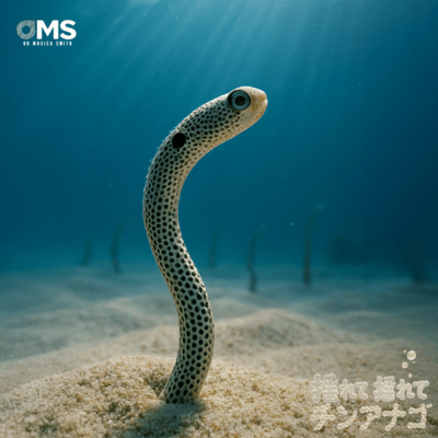 Sway Sway CHIN-ANAGO Front Cover