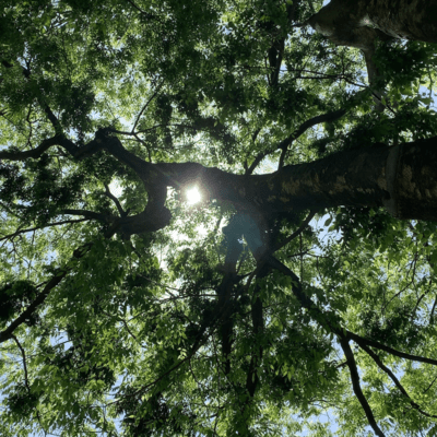 balloon (Instrumental-a) Front Cover