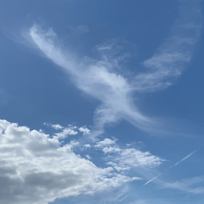 FUUMON (feat. SAKURA) Front Cover