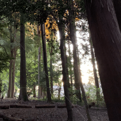 FUURI (feat. SAKURA) Front Cover