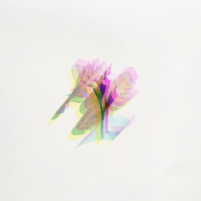 Diejob!!! (feat. KAFU) Front Cover