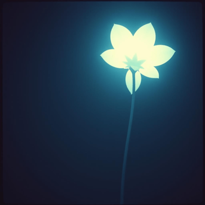 Even If I Know You'll Never Hear Front Cover