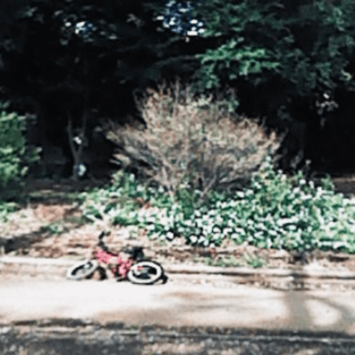 春のジャケット写真