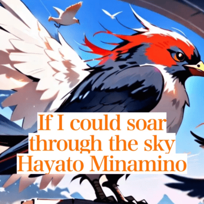 If I could soar through the sky Front Cover